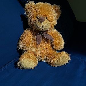 Cute brown teddy bear